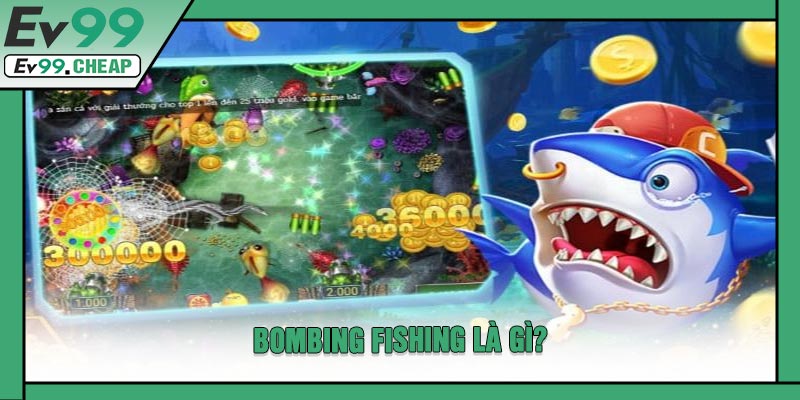 BOMBING FISHING Là Gì?