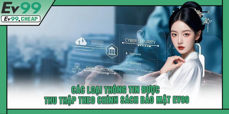 Các Loại Thông Tin Được Thu Thập Theo Chính Sách Bảo Mật EV99