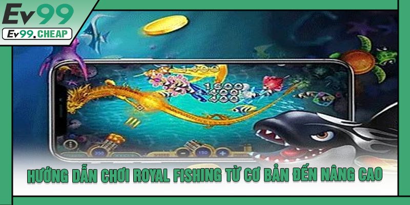 Hướng Dẫn Chơi Royal Fishing Từ Cơ Bản Đến Nâng Cao