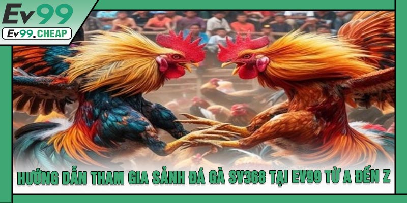 Hướng Dẫn Tham Gia Sảnh Đá Gà SV368 Tại EV99 Từ A Đến Z