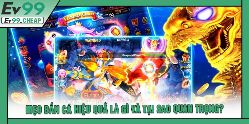 Mẹo Bắn Cá Hiệu Quả Là Gì Và Tại Sao Quan Trọng?