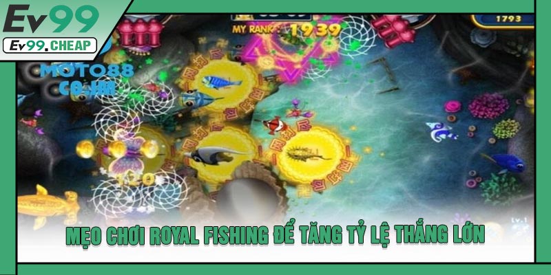 Mẹo Chơi Royal Fishing Để Tăng Tỷ Lệ Thắng Lớn