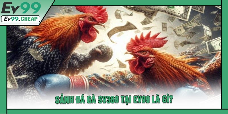 Sảnh Đá Gà SV368 Tại EV99 Là Gì?
