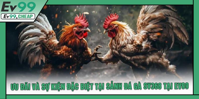 Ưu Đãi Và Sự Kiện Đặc Biệt Tại Sảnh Đá Gà SV368 Tại EV99